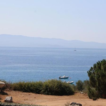 F2 Vue Mer Dans Residence Avec Piscine Ajaccio  Luaran gambar