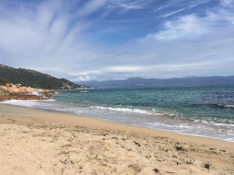 F2 Vue Mer Dans Residence Avec Piscine Ajaccio  Luaran gambar